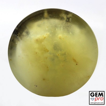 yellow dendritic opal