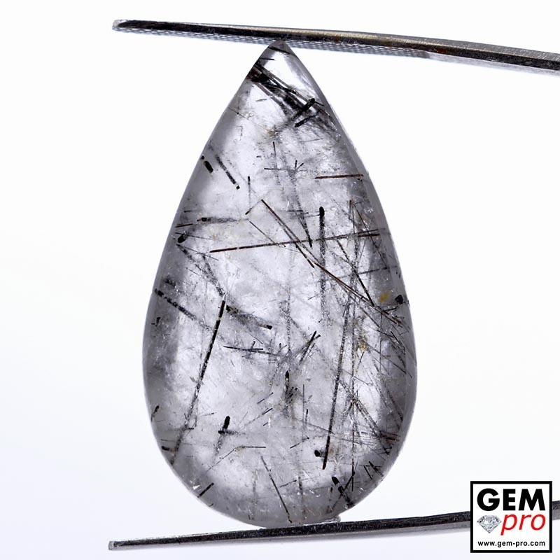 34.11 ct Black Tourmaline in Colorless Quartz